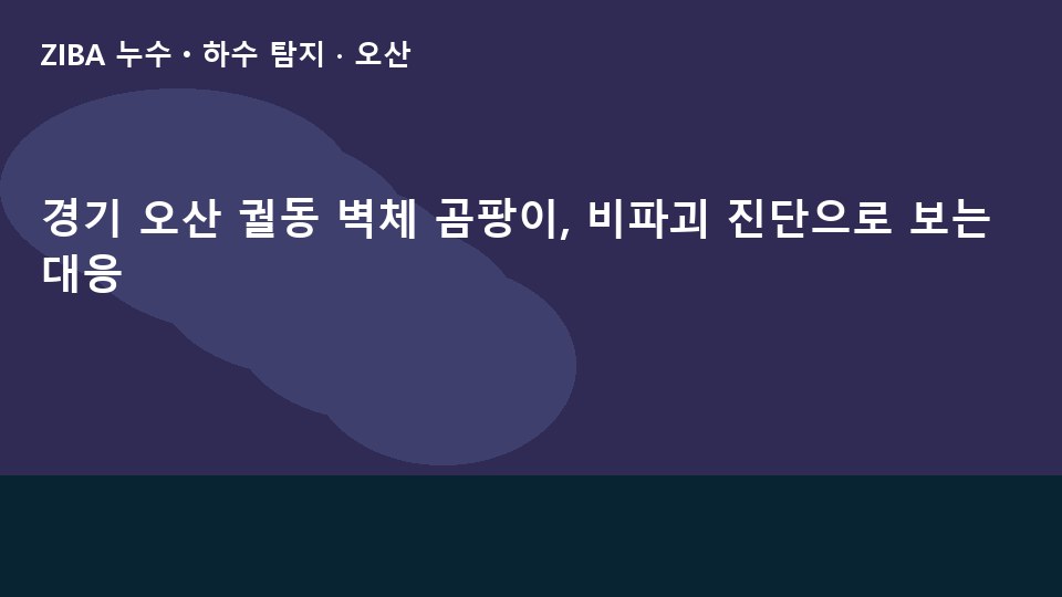 경기 오산 궐동 벽체 곰팡이, 비파괴 진단으로 보는 대응